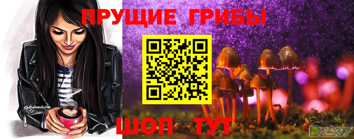 Псилоцибиновые грибы Psilocybine cubensis  Галлюциногенные грибы Psilocybe  Вход с VPN  Псков 